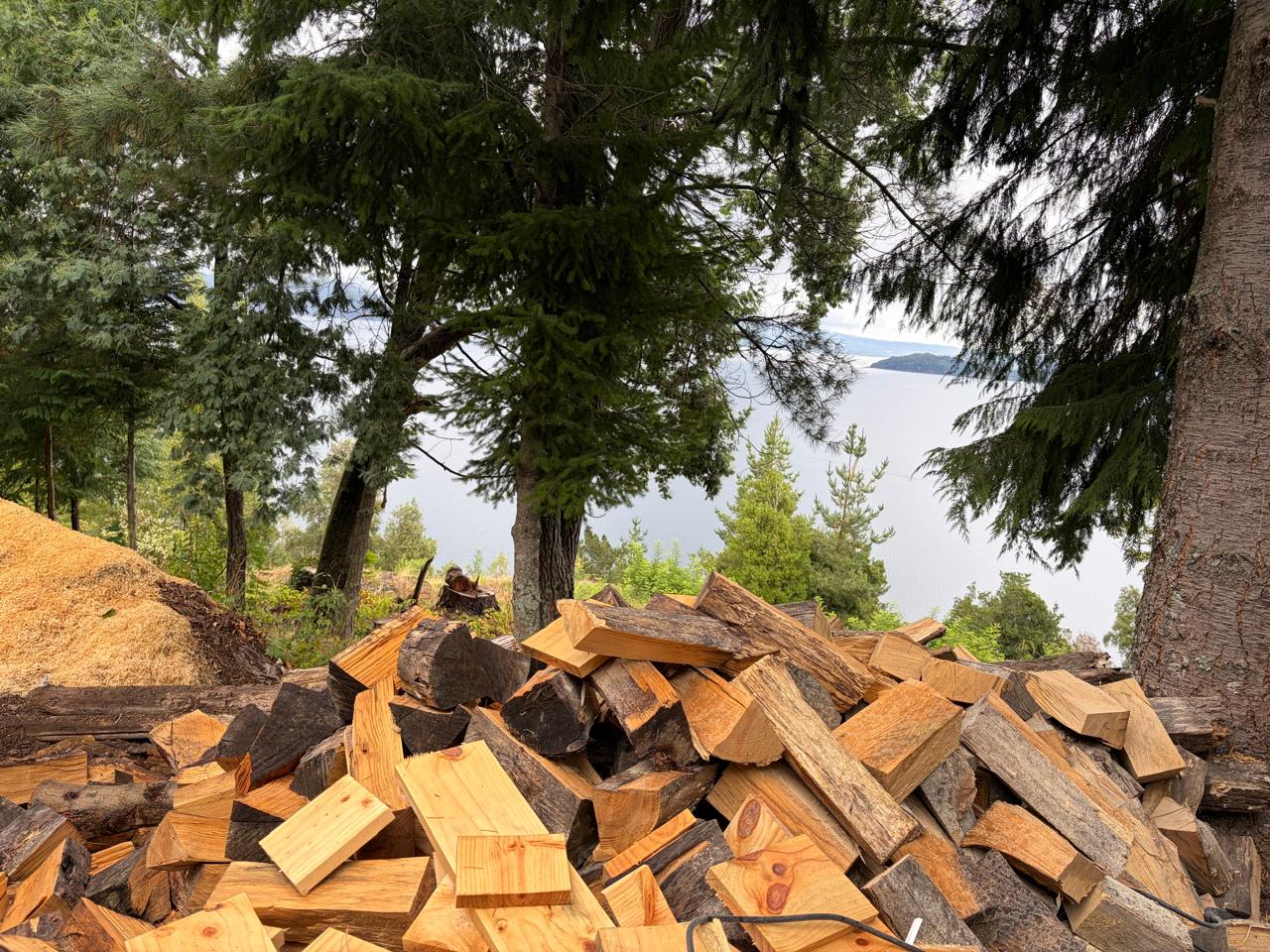 Madera nativa apilada con vista al lago Panguipulli