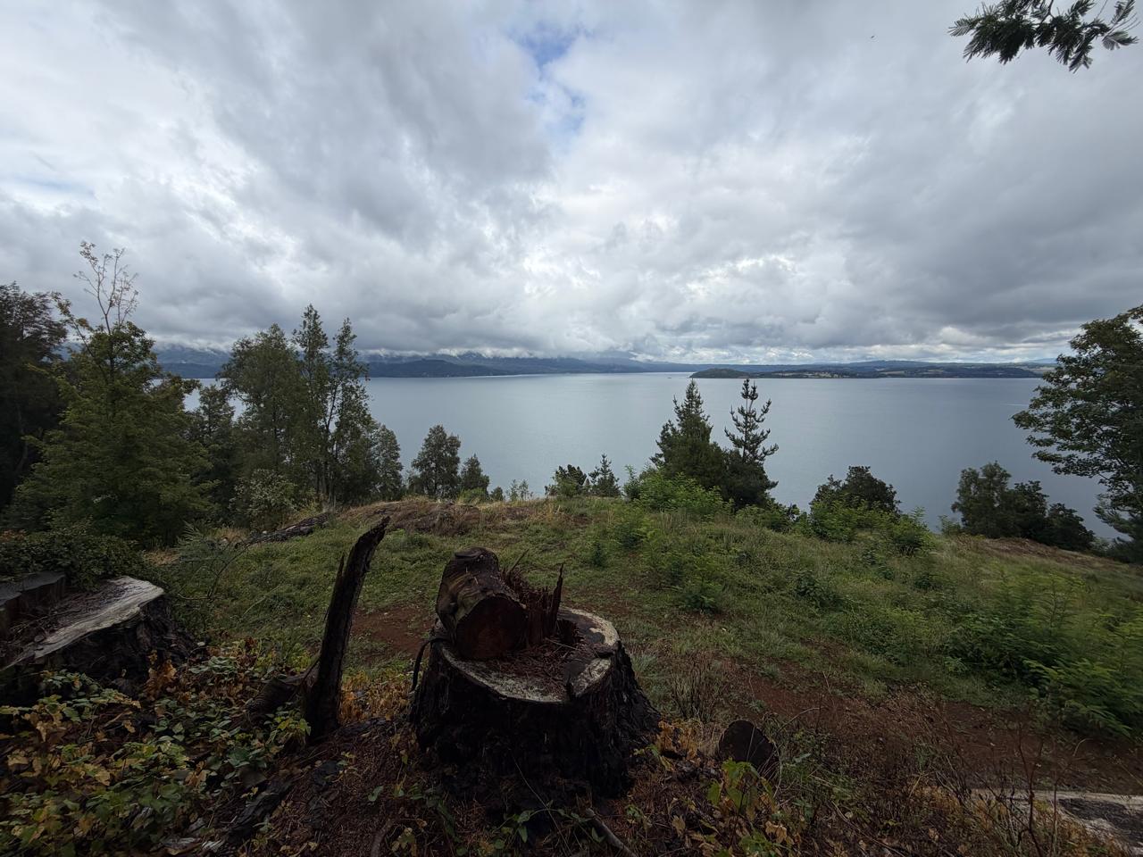 Vista del Lago Panguipulli desde el taller de Edgardo Burgos